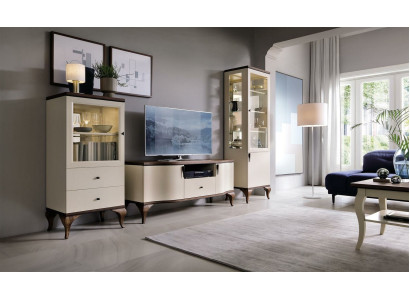 Classic Living Decoration Wall Living room Display case Sideboard TV cabinet Shelf Walls