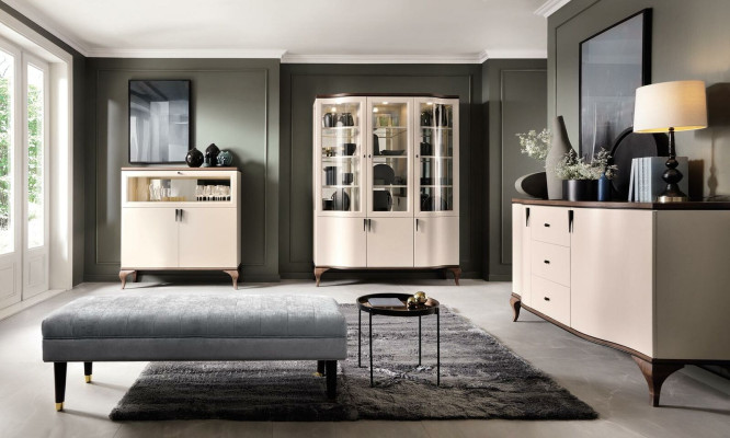 Classic Living Decoration Wall Living room Display case Sideboard TV cabinet Shelf Walls