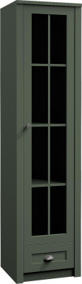 Living room Show Design Glass Cabinets Furniture Modern Display case Wardrobe Showcases new