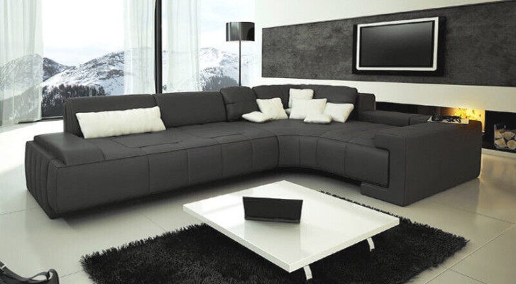 Leather Modern Couch Living landscape Leather sofa Decorative sofa set Sofa L-shape