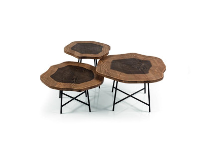 Coffee table Wood brown Coffee table Designer Living room table Tables 3x