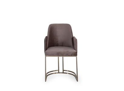 Armchair Armchair Chair Armchairs Textile Chairs Modern Furniture Dining room