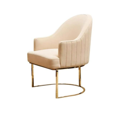 Dining chairs Living room luxurious Beige Chair with Metal Modern new