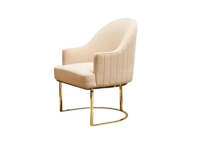 Dining chairs Living room luxurious Beige Chair with Metal Modern new