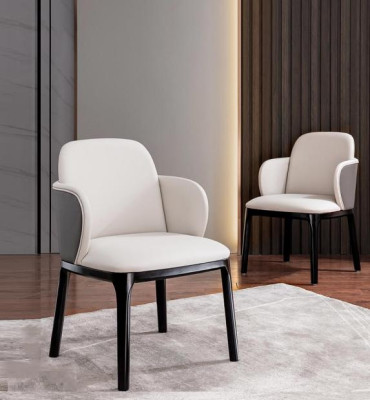 Dining chairs Living room luxurious stylish Chair with wooden legs new