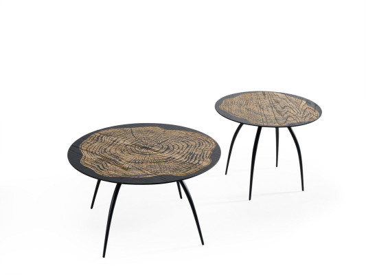Luxury Design Coffee tables Black Round Tables Living Room Side