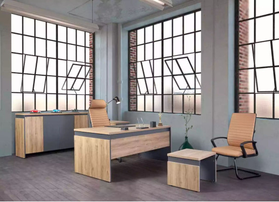 Stylish Office Chest of drawers Sideboard Office furniture Cabinets with drawers Wood