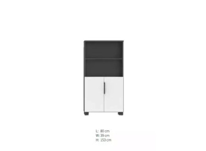 Office Files Shelf Wardrobe Wood Shelves Cabinets Office Study room Furniture new