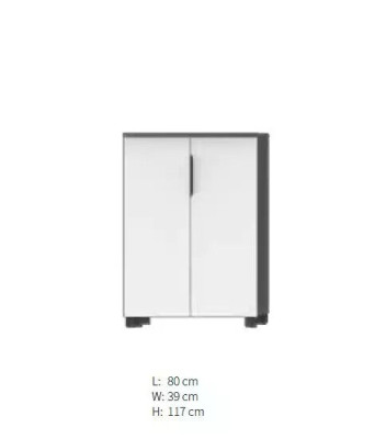 Office Wardrobe wooden shelves Cabinets Office Office universal Modern White new