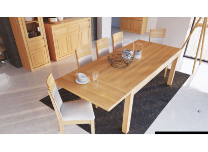Solid wood Conference table Dining room Real wood beech Dining table