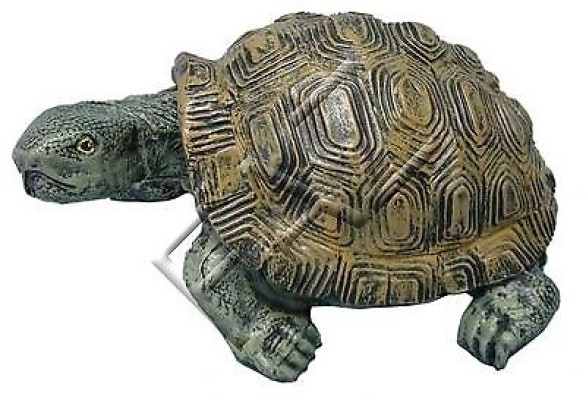 Design turtle figure statue sculpture figures sculptures garden decoration statues