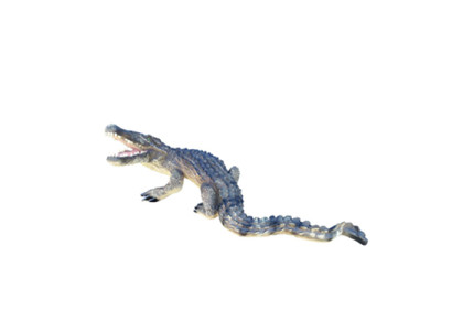 Modern Decorative Sculpture Crocodile Nile Life Size 180 cm Garden Decoration new