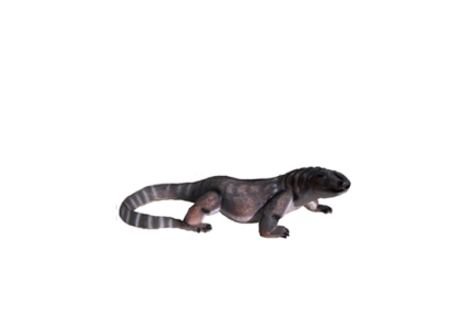 Lizard Decorative Statue Garden Figures Statues 100cm Life Size Figure Plastic