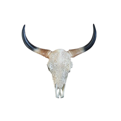Bull Cattle Skull Decoration Not Real 65cm Wall Design Water Buffalo Skull