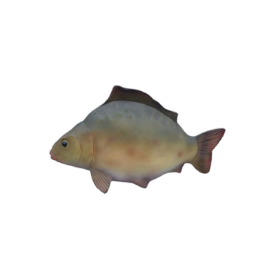 Decorative r modern beautiful sculpture fish, figure height 60 cm.