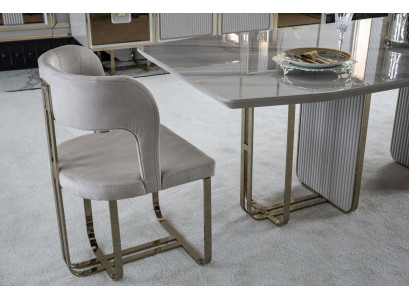 Chair Beige Elegant Modern Dining room Beautiful Fabric Design Luxury Metal Chairs