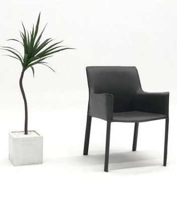 Design Lehn Chairs Upholstery Dining Room Club Kitchen Lounge Living Furniture Chair Armchair