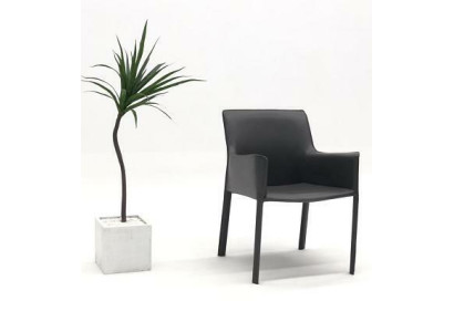 Design Lehn Chairs Upholstery Dining Room Club Kitchen Lounge Living Furniture Chair Armchair