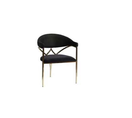 Black Stainless Steel Chair Wooden Frame Dining room Chairs Modern Single Seater
