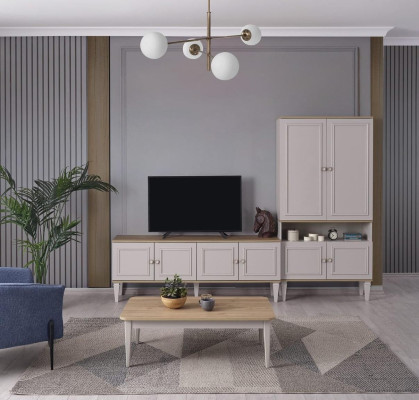 Suite TV Stand Wardrobe TV-cabinet Lowboard Living room Shelves Gray Wood