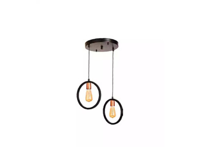 Ceiling lamp for Living room or Guest luxurious Black stylish Light fixture