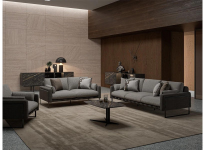 Gray Sofa set 4pcs Living room Armchair Furnishings Luxury Design Sofas new