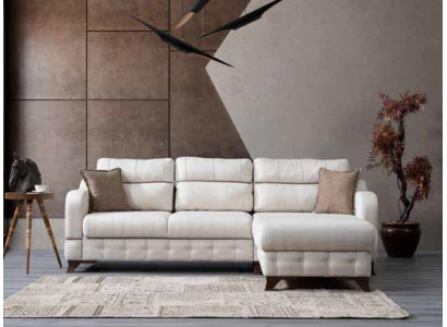 Luxurious Living room sofa Sofa L-shape Modern Comfortable in Bleach new