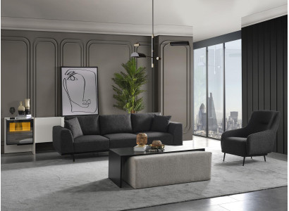 Living room Sofa set 41 Seater Couch Upholstery Luxury Furniture 3-piece. couch
