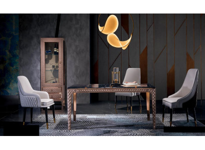 Dining table + 4x Chairs Chair Dining room Set Dining set Modern Table Tables