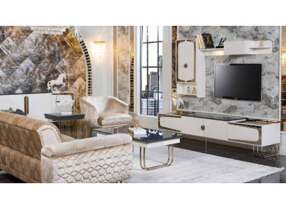 exclusive r stainless steel TV wardrobe designer wall shelf luxury living room set