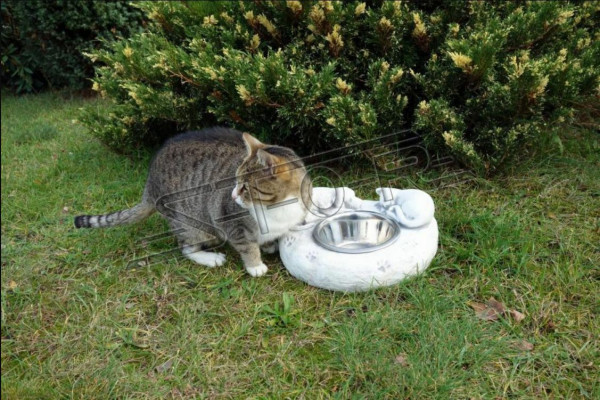 Water drinking fountain cat drinking container customer drinking vessel