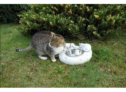 Water drinking fountain cat drinking container customer drinking vessel