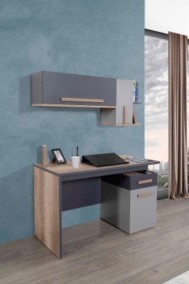 Desk Modern Table Wall shelf Wood Youth Childrens room Furniture Design