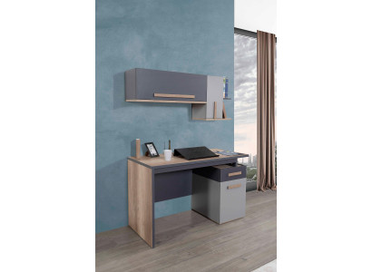 Desk Modern Table Wall shelf Wood Youth Childrens room Furniture Design