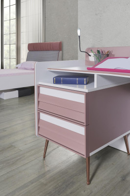 Desk Wood Pink Table Desks Shelf Furniture Youth Room Design