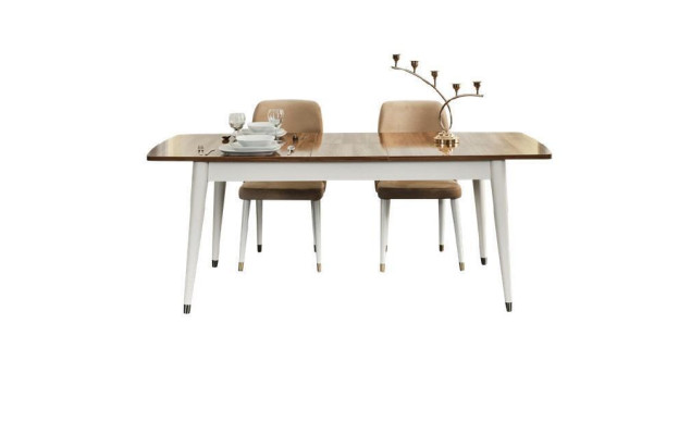 Dining table Wood 6x Chairs Group Dining room Suite Chair Set Table