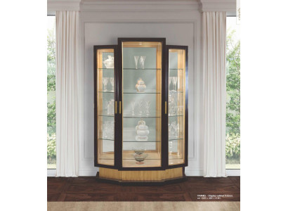 Display case Cabinets Showcases Luxury Wardrobe Living room Wood Black Gold
