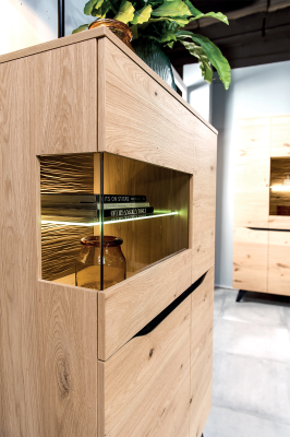 Luxury Display case Wood Designer Wardrobe Showcases Cabinets Shelves 108.8 x 57.3cm new