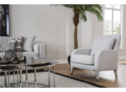 Armchair Seater Design Living room Upholstery Wood Upholstery Modern Luxury Gray new