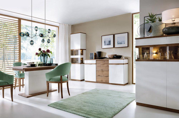 Luxury Glass Display case Wood Designer Wardrobe Showcases Shelf Cabinets Shelves Furniture