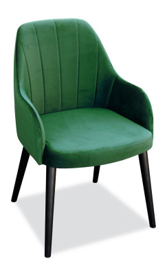 Solid wood Chair Dining room chair Designer Textile Chair Chairs Dining chairs K80