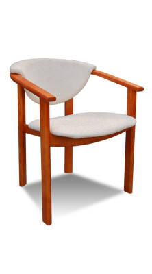 Chair Upholstery Chair Designer Chair Dining room Armchair Luxury Furniture new