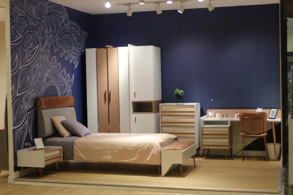 Complete Youth Room Childrens room Set Wardrobe Chest of drawers Desk 6pcs.