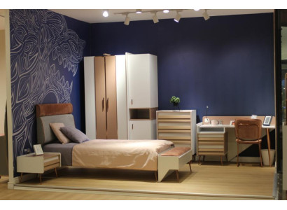 Complete Youth Room Childrens room Set Wardrobe Chest of drawers Desk 6pcs.