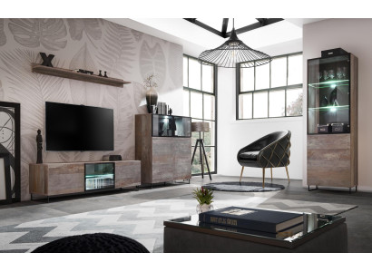 Modern Living room Set TV Lowboard Design Furnishings Display case new Wood Furniture