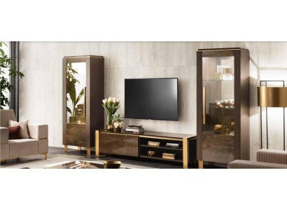 Display case Chests of drawers Showcases Dresser cupboard Glass Designer Wardrobe