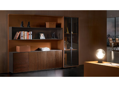 Books Files Wardrobe Shelf Wall Law Firm Practice Companies Office Furniture