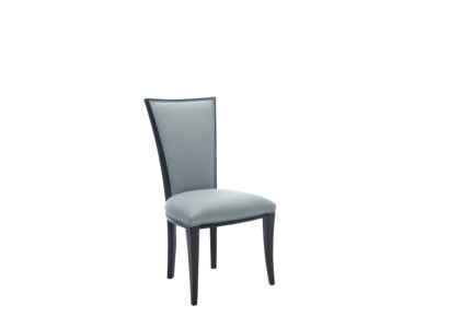 Solid wood Chair Dining room chair Designer Chairs Living room Lehn Lounge Wood new