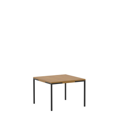Couch Table Coffee Side Designer Tables Living room Leather Coffee tables new