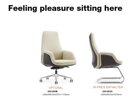 Conference table 6 Armchair Chair Table Meeting Office Furnishings 7pcs. set